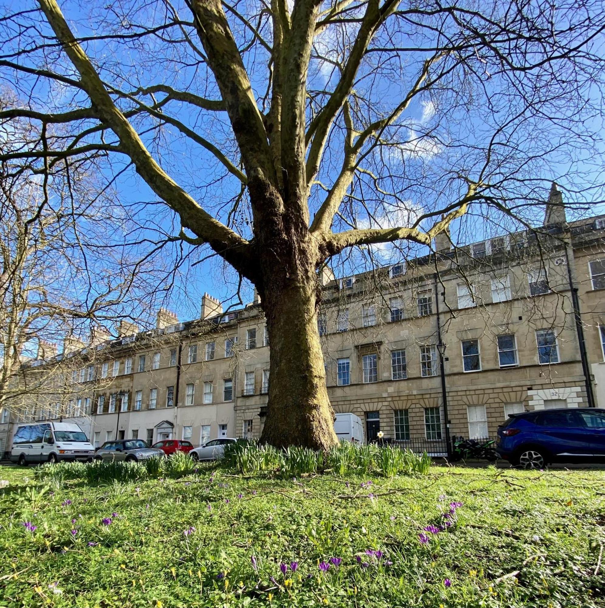 Grosvenor Apartments In Bath - Great For Families, Groups, Couples, 80 Sq M, Parking المظهر الخارجي الصورة